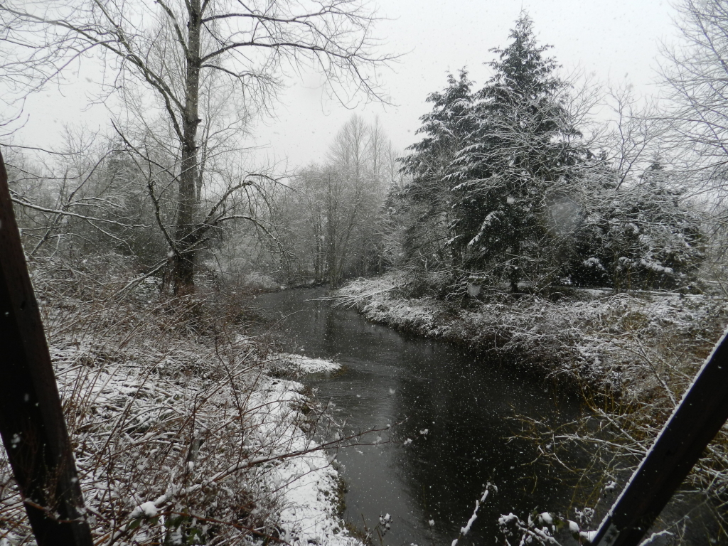 snow day from the bridge