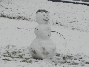 snowman